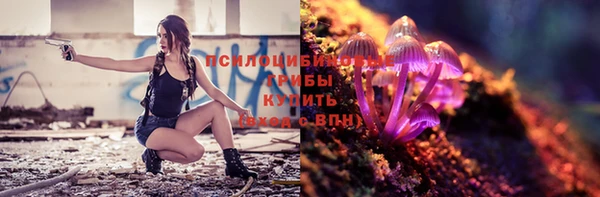 трава Медвежьегорск