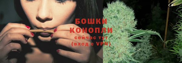 трава Медвежьегорск