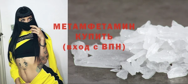 трава Медвежьегорск